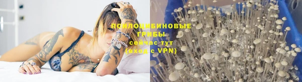 ALPHA PVP Снежинск