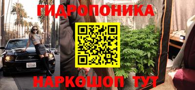 прущая мука Дубна
