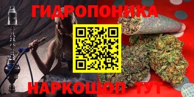 дмт Донской