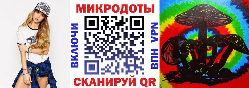 как найти   Тихвин  Галлюциногенные грибы Cubensis 