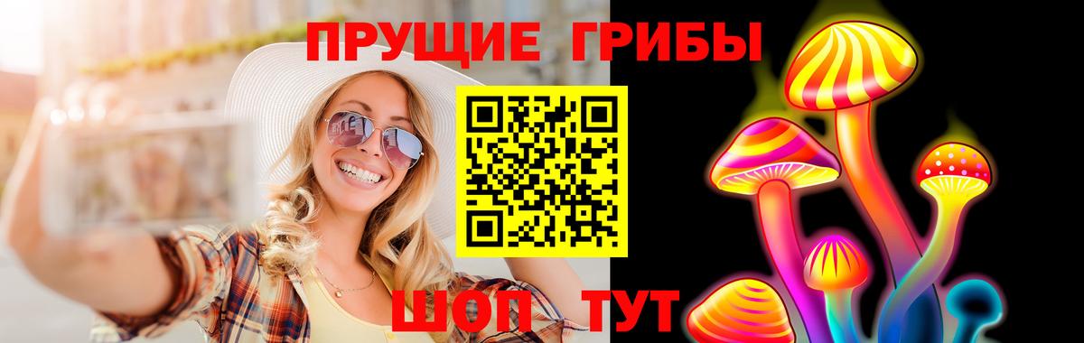 Псилоцибиновые грибы Psilocybine cubensis Тихвин